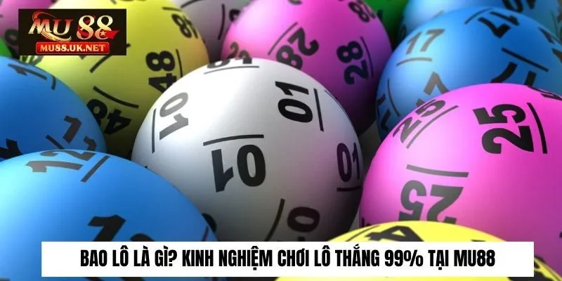 bao lô là gì
